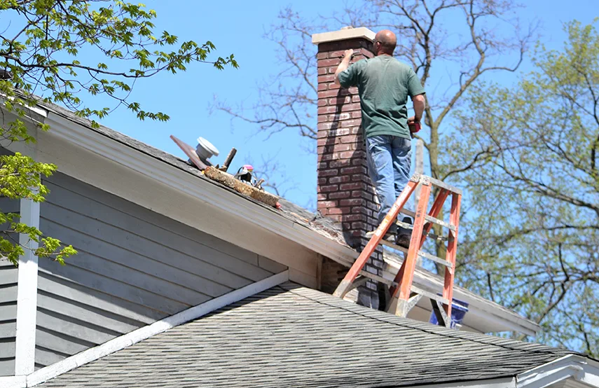 Chimney & Fireplace Inspections Services in Roselle, NJ